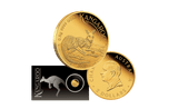 Australian Kangaroo Mini Roo - 2025 0.5g Gold Proof Coin in Card