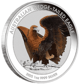 Australian Wedge-Tailed Eagle - 2025 1oz Silver Coloured Coin in Card