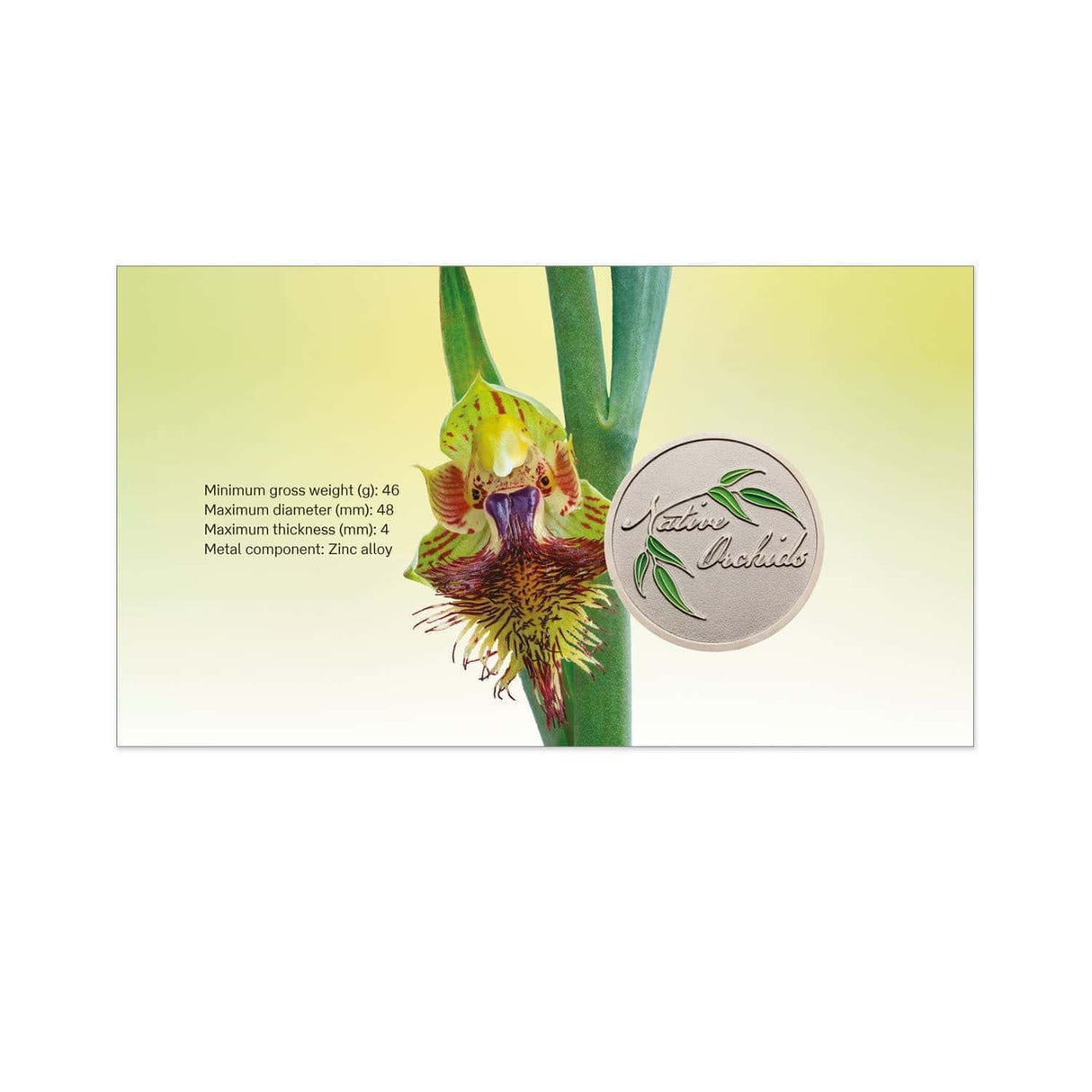 2025 Native Orchids Medallion Cover PMC