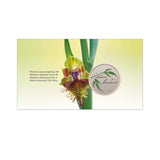 2025 Native Orchids Medallion Cover PMC